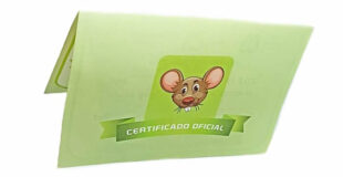 Carta ratoncito Pérez