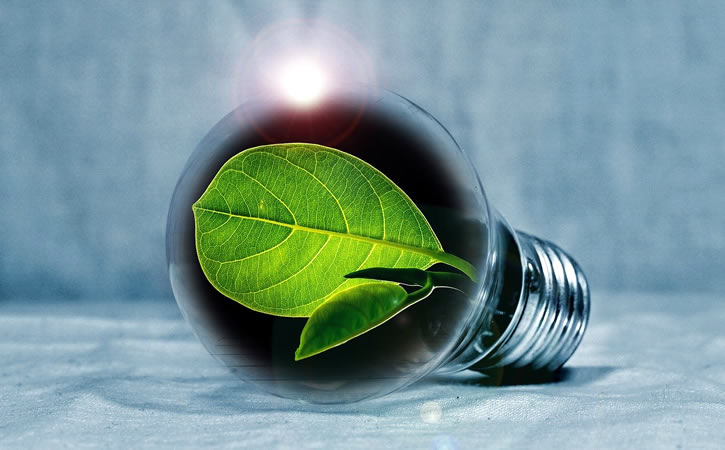 Día Mundial de la Eficiencia Energética Día Mundial de la Eficiencia Energética