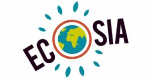 ¿Qué tan real es Ecosia? Ecosia