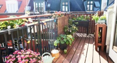 Huerto urbano con plantas