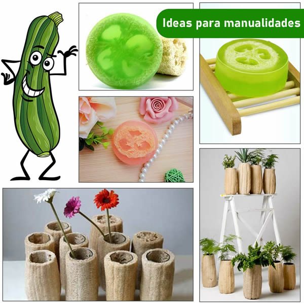 ᐉ Esponja de Lufa: Natural, vegetal y 100% biodegradable